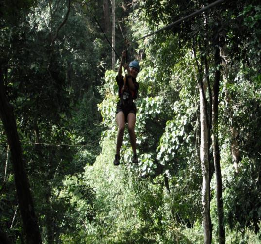 We have an adventure to the jungle with eight zip lines linking cliffs to ancient ficus trees towering up to 150 feet.