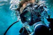 A free under water photo is available after dive; this is a wonderful way to find out what it s like to be immersed under the water for a period in a relatively safe environment.