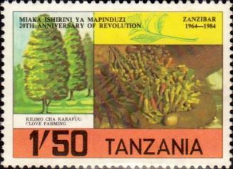 History: Independence and Union with Tanganyika On 10 December 1963, Zanzibar received its independence from the United Kingdom.