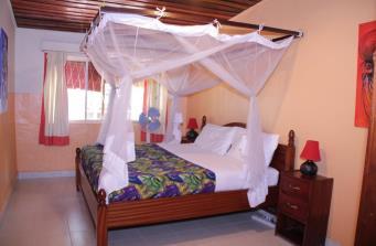 by free 1 x morning and 1 x afternoon transfer Cost per night per single room US$100 Villa Econ.