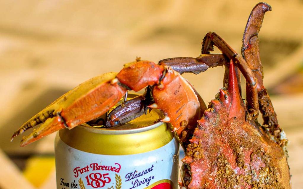 LODGE ALL YOU CAN EAT CRAB FEAST