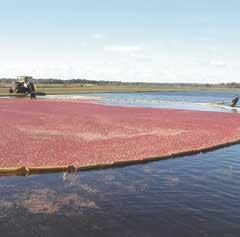 Wetherby Cranberry Company Have you ever seen a lake of berries?... you and your group will have a truly unique tour in the heart of cranberry country.