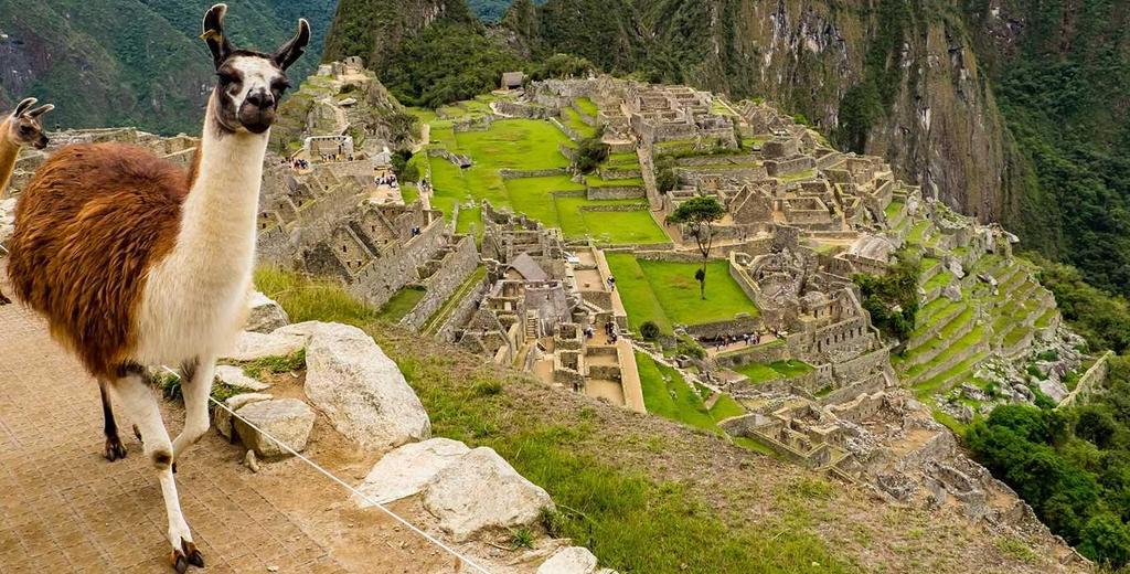 The Inca Inca means elite the people are the Quechua people The Inca had no slaves. Or currency.