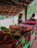 Day 3 Chagres River and the Emberá Indigenous - This is a perfect opportunity to visit an