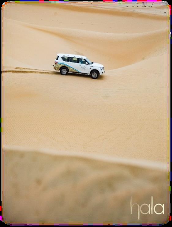 Desert Activity Hala Oasis Sunset Desert Drive Experience an incredible desert