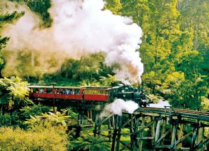 Enjoy the lush ferns and dense forests of the Dandenong Ranges Enjoy a traditional Devonshire Tea of homemade scones, served warm with jam and cream Ride the restored Puffing Billy Steam Train for a