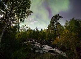 Key facts Pace: Set your own In Brief Saariselkä, surrounded by stunning wilderness, has a fantastic Northern Lights record.