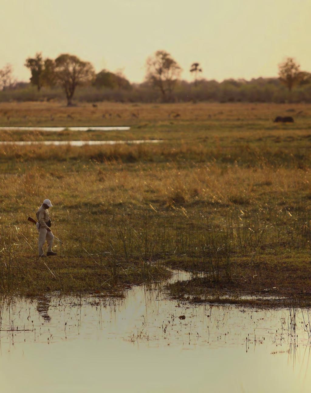 DAYS 4-6 SANDIBE OKAVANGO LODGE OKAVANGO DELTA DAYS 4-6 Sandibe Okavango Lodge Okavango Delta Stevie Mann/Sandibe Okavango Safari Lodge/&Beyond Get your checklist ready African wild dog, Baboon,
