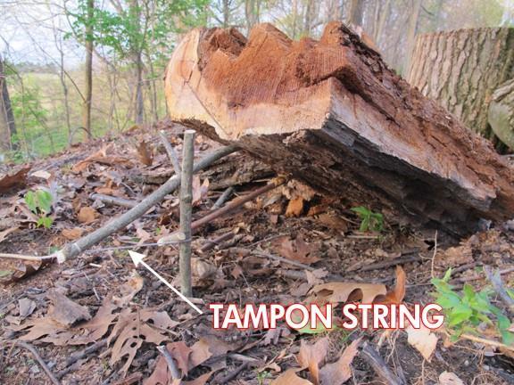 TAMPON Survival Use #6: Cordage The string attached to a tampon is a cotton twisted cord typically made up of several 4-6 pieces of twine. Though it s not much, it is usable cordage.