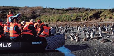 through Tierra del Fuego: the Strait of Magellan, the Beagle Channel, Cape Horn, glaciers