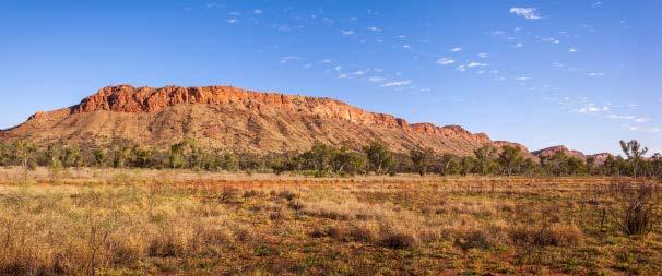 Visit the Uluru Kata Tjuta Cultural Centre to learn more about the Western Desert region, then tour the sacred sites around the base of Uluru (Ayers Rock) with a local Driver Guide, learning about