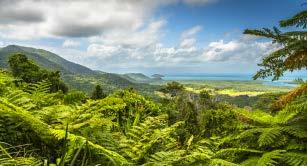 Walk on the beach at Cape Tribulation and admire the coastline from the Kulki Lookout.