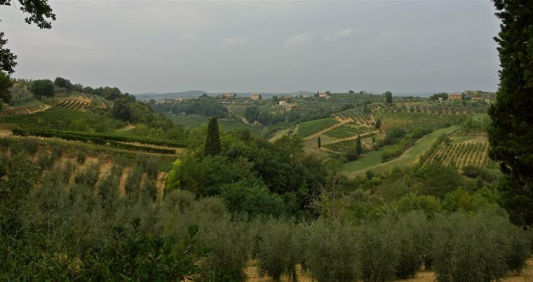 Chianti,Tuscany,Italy The day is free at leisure. There are many optional tours available: Pisa with its leaning tower, Montepucliano and Montalcino, Cortona, Assisi and Perigia and many other.