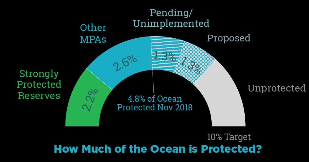 What is a Marine Protected Area?