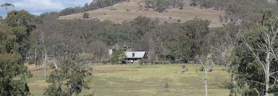 Real Estate Guide Real Estate Profi le: Bettington Rural, Murrurundi David Bettington, licensee in charge and Elizabeth Turner, property manager provide a professional service to the districts