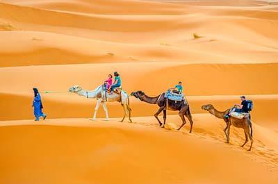 After taking in this splendid view of the surrounding desert, leave your man made transports behind and journey into the heart of the dunes as the local nomads do; by camel back.