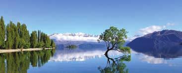 Lakes and Glaciers 9 Days/8 Nights Departs Daily (Validity : 01 Oct 18-30 Apr 19) INCLUDES BREAKFAST INCLUDED IN THIS TOUR: n Tranz Alpine Train (seat in coach only) n Glacier Hot Pools (self drive