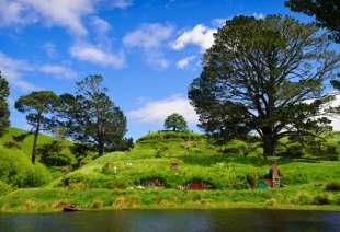 DAY 5 Leave for Waitomo DAY 5: AUCKLAND-WAITOMO-HOBBITON-ROTORUA Waitomo caves Leave for Hobbiton Movie Set