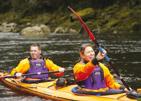 Penguins, seals and dolphins are sometimes encountered and birdsong is heard as we paddle the shoreline.
