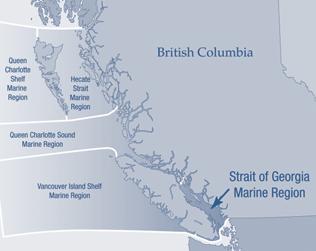 Great Lakes. On Canada s Pacific Coast, there are five such regions: Hecate Strait, Queen Charlotte Islands Shelf, Queen Charlotte Sound, Strait of Georgia and Vancouver Island Shelf.