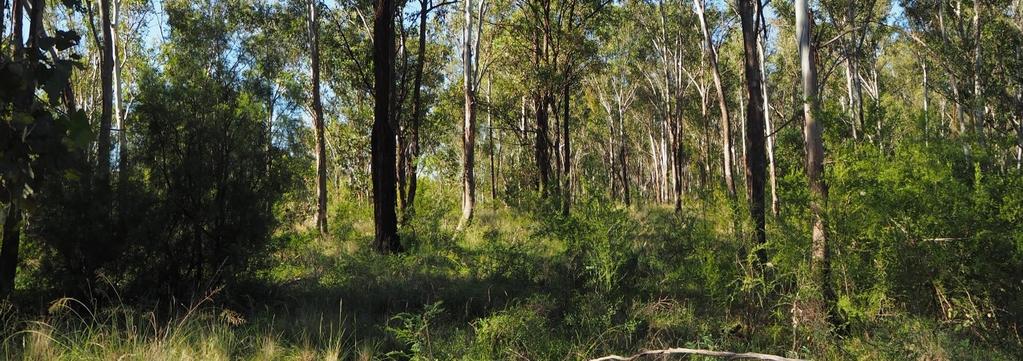 The site protects Critically Endangered Cumberland Plain Shale Woodlands with unusually high species richness and numerous threatened flora.
