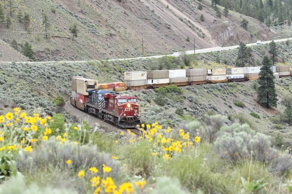 The OrderBoard Newsletter of The Calgary Model Railway Society CP 8784 and CEFX 1028 power an eastbound intermodal past the spring flowers that dot