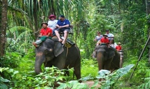 4x4 Elephant Adventure (GDUSM03WM) SGD 120/ adult SGD 110/ child 5 hours Min. 15 - Max.