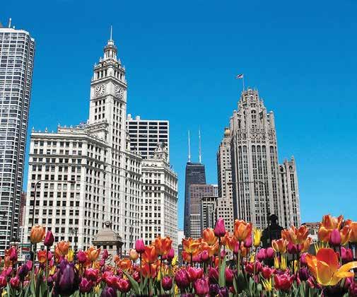 The Magnificent Mile has an indulgence for every passion and every pocket!