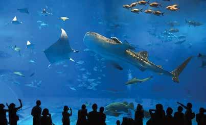 in the world. It contains over 1,500 species of fish, marine mammals, bird, snakes and amphibians.