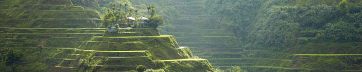 Banga-an is a small village located in the center of rice terracing area in Ifugao. It takes about one hour from Banaue by jeepney.
