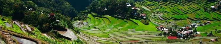 Often called the eighth wonder of the world, the Banaue Rice Terraces stand as the most awe-inspiring man-made landscape in the Cordilleras!