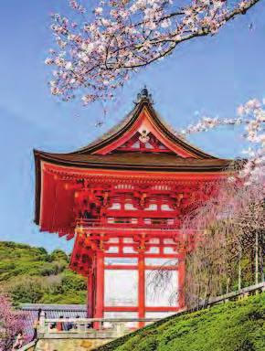 Pair your voyage with a land tour in the Land of the Rising Sun to see the great temples, castles and monuments of Kyoto, and spend more time exploring incredible.