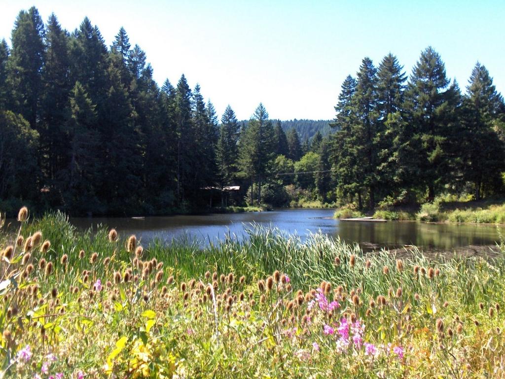 Camp Whispering Winds Philomath, OR 220 acres sleeps 164 New, expanded Swallows dining hall New horse stalls Two new Alderview cabins Active forest management and fuel reduction project Coming
