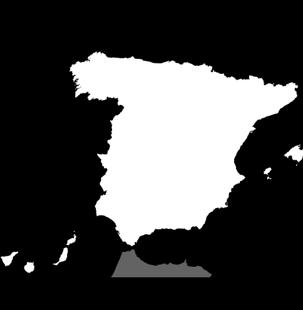 rest of Spain 41% foreign