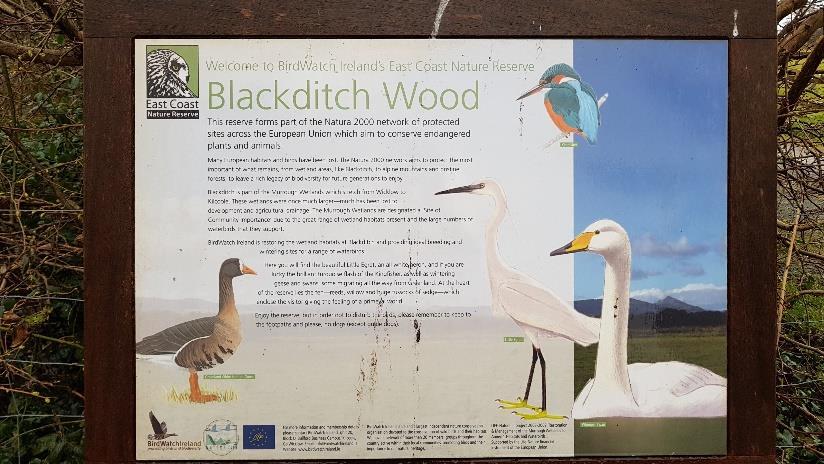 29. 3. 2018 We took the bus back to the east coast of Ireland, where we first visited the Birdwatch Ireland Centre and then we headed to the East Coast Nature Reserve.