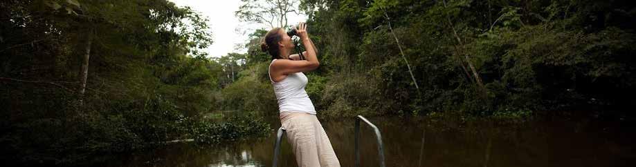 Yanayacu Pucate: You will start cruising through the Yanayacu and Pucate Rivers, peeking into different creeks