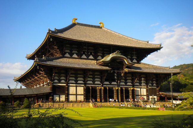 Visit many national treasures and world heritage sites such as Todaiji, where the world's largest big uddha sits, and Kasuga Taisha Shrine of world heritage.