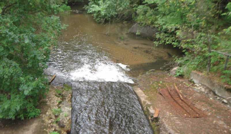 Project Focus Improving the Flow of Water and Information Middle Branch Cedar River Dam Removal 6 Once upon a time, more than 70 years ago, a dam was built on Clare County s Middle Branch Cedar River.