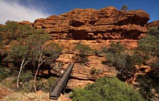 (swimming not permitted) and enjoy spectacular views across Watarrka National Park and into the Canyon itself Or take the leisurely Creek Bed Walk with your Driver Guide.