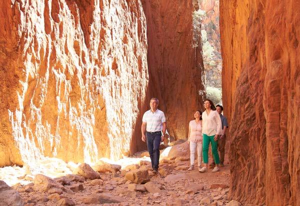 In this scenery-packed itinerary, visit iconic sights of Angkerle (Standley Chasm), Ellery Creek Big Hole, Ormiston and Glen Helen Gorges and Simpsons Gap, and learn