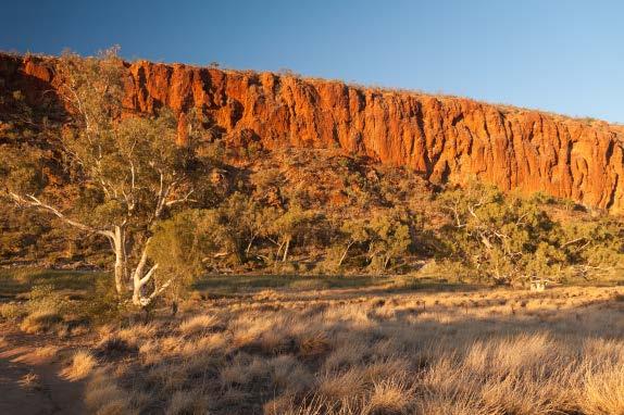 Through the Central Australian landscape, we ll take you down the very edge of the Finke River and into the amazing Palm Valley.
