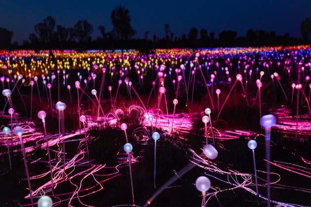 EXCLUSIVE TO AAT KINGS 5 Uluru Sunrise & Field of Light EARLY MORNING FOL Internationally acclaimed artist Bruce Munro is noted for his immersive site-specific installations that employ light to