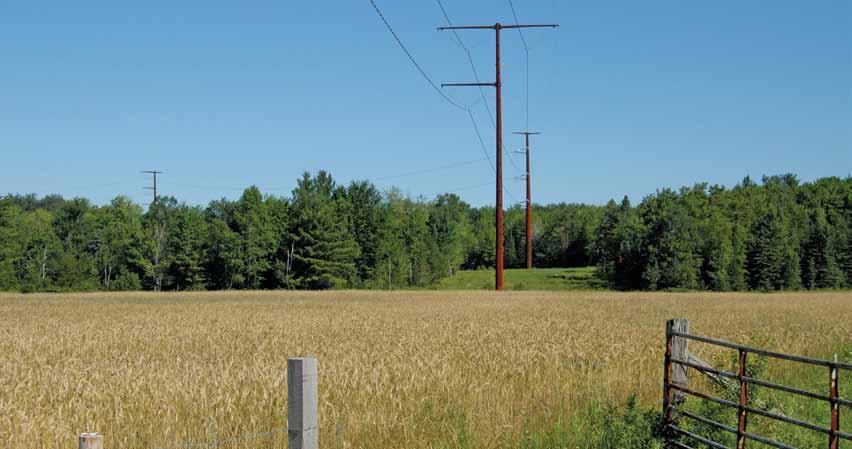 North Central Wisconsin Zone 1 Electric System Overview Slight increases expected in population, employment Population in Zone 1 is projected to grow at 0.6 percent annually between now and 2020.