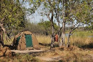 Day 6,7,8,9 MOREMI & SAVUTI [camping BLD] We have 4 nights in these conservation areas with time to explore