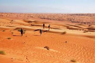Walking in the Wahiba desert 30min-2h What a