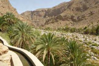 along the transfer 15km 15min Lower Wadi bani Khalid : village and