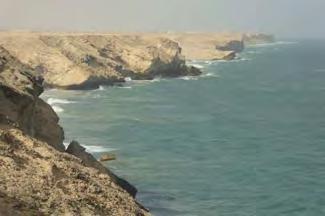 Al Kamil to Ras al Hadd : From the desert to the Indian Ocean