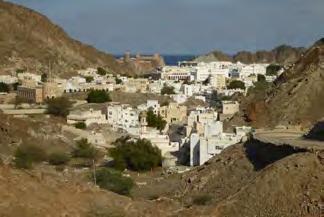 Old Muscat District and the Sultan's Palace 30min-1h A few