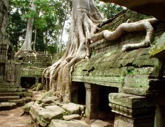3 Apr (Tues) Ho Chi Minh City / Siem Reap Fly to Siem Reap and transfer to the Hotel Tara Visit the Angkor Museum Dinner at Marun 4 Apr (Wed) Angkor Wat Early start to visit the Bayon and Ta Prohm