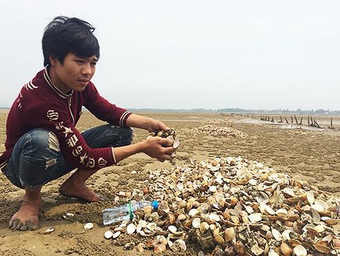 Conservation concern Mass fish deaths in Central coast of Vietnam Last April, 100 tons of fish died along vast stretches of the coast in the Central provinces of Vietnam including Ha Tinh, Quang